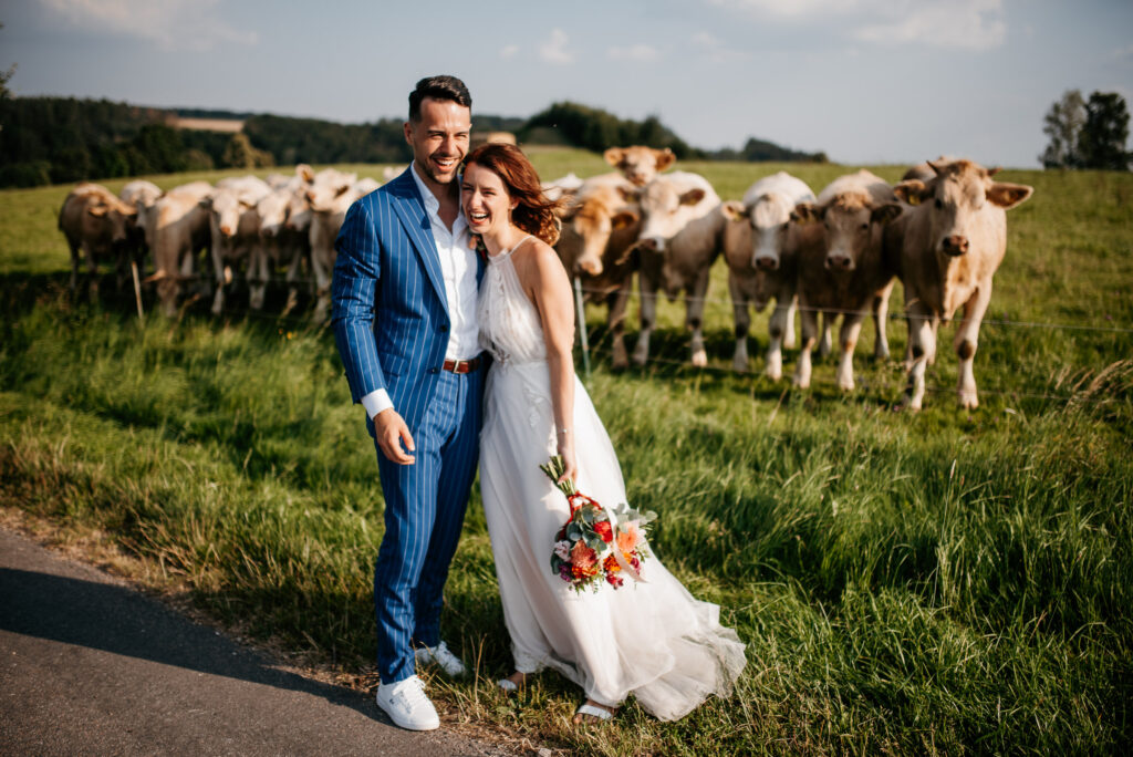 Ženich a nevěsta se fotí přihlížejícím stádem krav Orlické hory Kunvald
